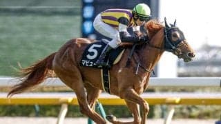 【中京記念予想】サマーマイルシリーズの第3戦 瞬発力が求められるコース