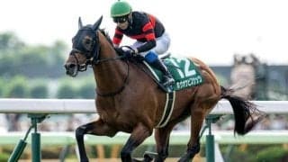 【札幌記念・馬体重】ホウオウビスケッツは514kg(+12)、ステレンボッシュは472kg(+4)