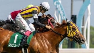 【中京記念】横山武「馬がよく応えてくれた」マピュースが重賞初制覇