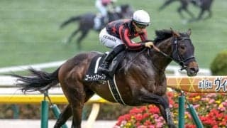 【仏・ジャックルマロワ賞】ゴートゥファースト5着、アスコリピチェーノ6着 愛国のディエゴヴェラスケスがV