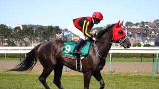 【仏ジャックルマロワ賞】黒岩師「自分の競馬をさせてもらえなかった」アスコリピチェーノは6着