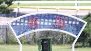 【新潟2歳S登録馬】リアライズシリウスなど11頭