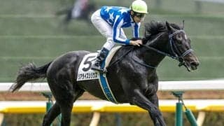 【新潟2歳S見どころ】将来有望株のリアライズシリウスに注目