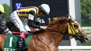 【中京記念】売上は45億7182万4100円で昨年より約28.5億円減少 24年は7月に小倉競馬で実施