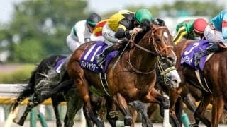 【キーンランドC想定騎手】パンジャタワーは松山弘平騎手、レイピアは北村友一騎手