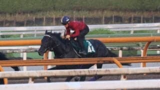 父はディープインパクト産駒の仏ダービー馬 キッコベッロが日曜中京で初陣/関西馬メイクデビュー情報