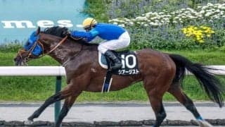 【先週のJRA抹消馬】地方から再転入後に5勝を挙げたシアージスト、芝・ダート双方の短中距離戦で活躍したメイショウフンケイなど