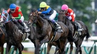 【AI予想・キーンランドC】今年の青函Sはハイレベル!? 配当妙味も十分な人工知能の本命候補とは
