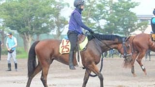 半姉はG1・香港ヴァーズVのウインマリリン 日曜札幌で初陣迎えるウインベルチェーロ/関東馬メイクデビュー情報