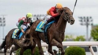 【浦和・ルーキーズサマーC枠順】2戦2勝のロードレイジングは5枠5番