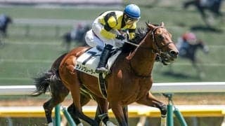 【新潟2歳S展望】前走同距離組が優勢、末脚鋭いサノノグレーターに注目