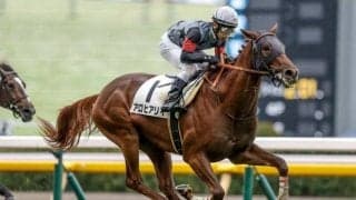 「アロヒアリイは凱旋門賞でも好勝負になる?」 血統に関する疑問に回答！