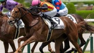 【新潟2歳S】半兄は皐月賞馬のミュージアムマイル フェスティバルヒルが重賞初制覇なるか