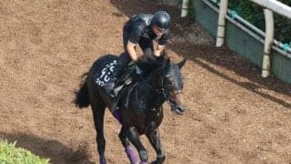 ショウヘイなど、先週の入厩情報/栗東トレセンニュース