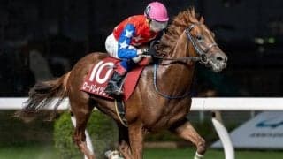 【浦和・ルーキーズサマーC注目馬】南関東最初の2歳重賞に素質馬集結 秋の大舞台に向けて名乗りを上げるのは