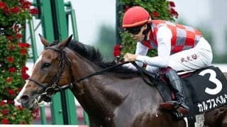 【キーンランドC】シュヴァルグラン産駒が重賞初制覇なるか カルプスペルシュが4連勝狙う