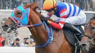 【キーンランドC】友駿HCが12年ぶりのJRA重賞制覇なるか フィオライアが一発狙う