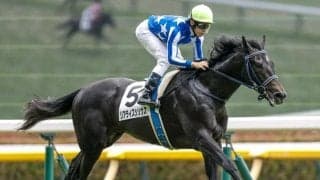 【新潟2歳S予想オッズ】リアライズシリウスが予想1番人気