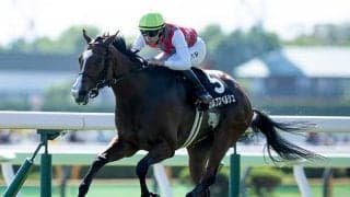 【キーンランドC展望】3連勝の上がり馬カルプスペルシュが重賞初制覇を狙う