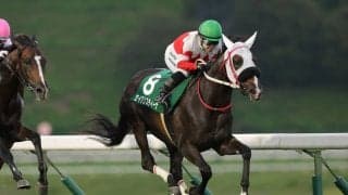 【盛岡・ジュニアグランプリ】セイクリスティーナ堂々のV…岩手牝馬路線の主役へ