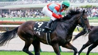 【キーンランドC】フランケル産駒が4年ぶりのJRA重賞制覇なるか ティニアが参戦