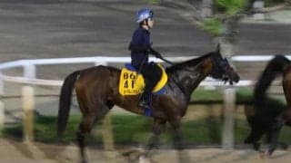 オーサムリザルト、ブリーダーズGC追い切り速報/栗東トレセンニュース