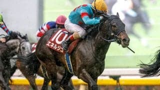 【新潟記念想定】エネルジコやクイーンズウォークなど15頭