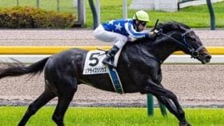 【新潟2歳S】話題の馬主・今福洋介氏 リアライズシリウスで重賞初制覇なるか
