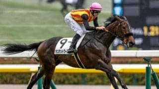 【新潟2歳S予想】信頼できる連軸候補を的確に！ AIは支持を集める一頭を指名