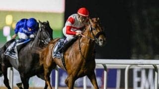 【英インターナショナルS結果】ダノンデサイルは5着 オンブズマンが人気に応えてV