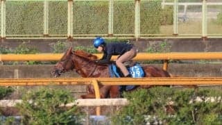 ビザンチンドリーム、仏遠征追い切り速報/栗東トレセンニュース