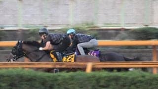 クロワデュノール、仏遠征追い切り速報/栗東トレセンニュース