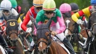 半兄はGII・3勝のプラダリア パフュームセントが約1年ぶりの実戦で初勝利なるか