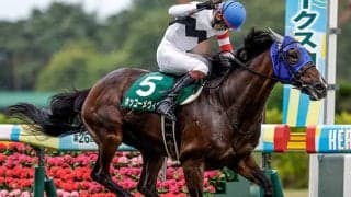 障害重賞4勝のホッコーメヴィウスが登録抹消 関西大学で乗馬になる予定