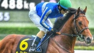 【長岡S】3.3億円のディープ産駒 オープンファイアが復活Vなるか