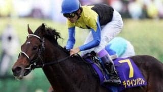 ディープインパクトの快挙達成から20年 「ディープの三冠で一番心に残っているレースは？」