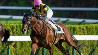 【長岡S】母は名牝スイープトウショウ スイープアワーズがオープン昇級なるか