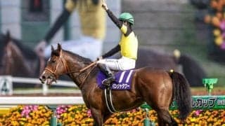 【キーンランドC枠順確定】パンジャタワーは3枠5番、ウインカーネリアンは5枠10番