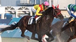 グラスワンダー産駒のファイナルワンダーが2勝目 今月8日に亡くなった父へ捧げる白星に