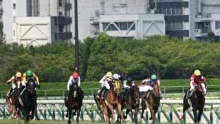 今週末の中京競馬でパドック周回時間の短縮を検討 JRAが暑熱対策について発表