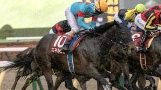 【新潟記念想定馬・騎手】エネルジコ、ブレイディヴェーグなど17頭