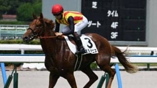 【中京2歳S想定馬・騎手】スターアニス、パープルガーネットなど14頭