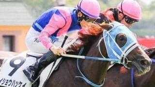 土曜日に2000勝を決められるか メイショウ軍団は4頭出走