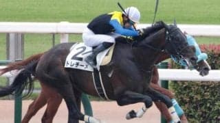 半兄はGI・2勝のラブリーデイ トレチーメが休み明けVなるか