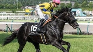 札幌芝はパワー型を狙え WASJ第2戦は道悪巧者のルカランフィーストに注目