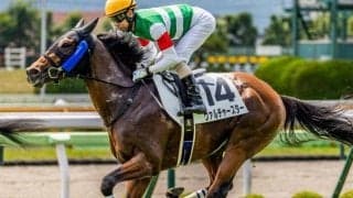 母は名牝ハープスター ヴァルチャースターが初ダートで激変なるか