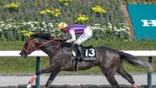 【今日の注目ポイント】BSN賞でジャスパーロブストがOP初勝利を狙う