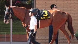 【BSN賞】脚質は前有利 5歳馬が圧倒的優勢