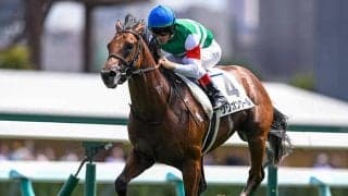 【札幌5R新馬戦結果】エピファネイア産駒グリオンヴールが断然人気に応え7馬身差V