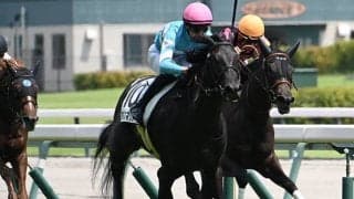 【中京5R新馬戦結果】カレンブラックヒル産駒の8番人気アルスマグナがV
